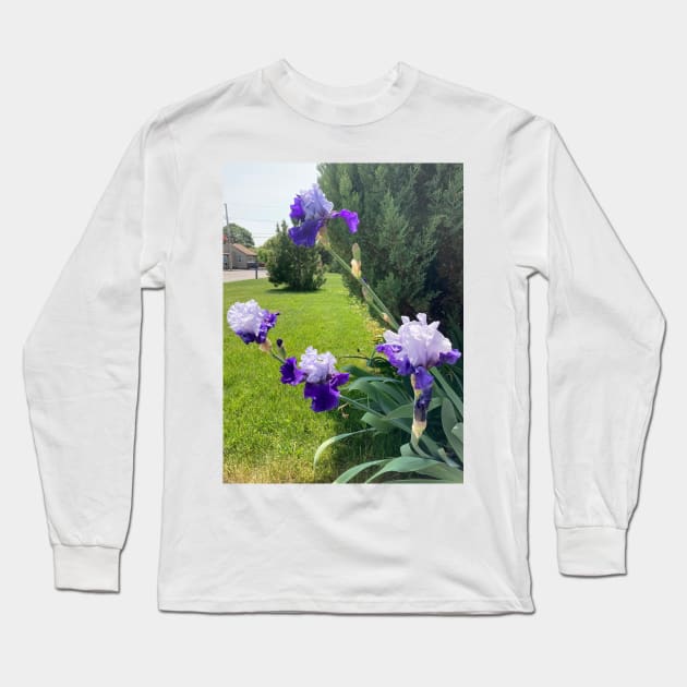 Irises and Evergreens Long Sleeve T-Shirt by Amanda1775